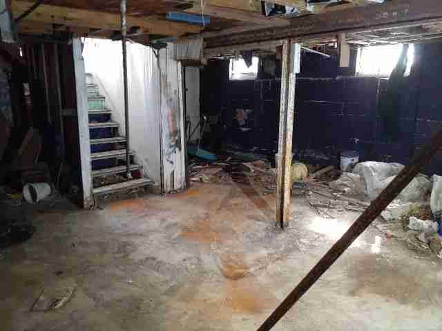 Testing again(111).jpg